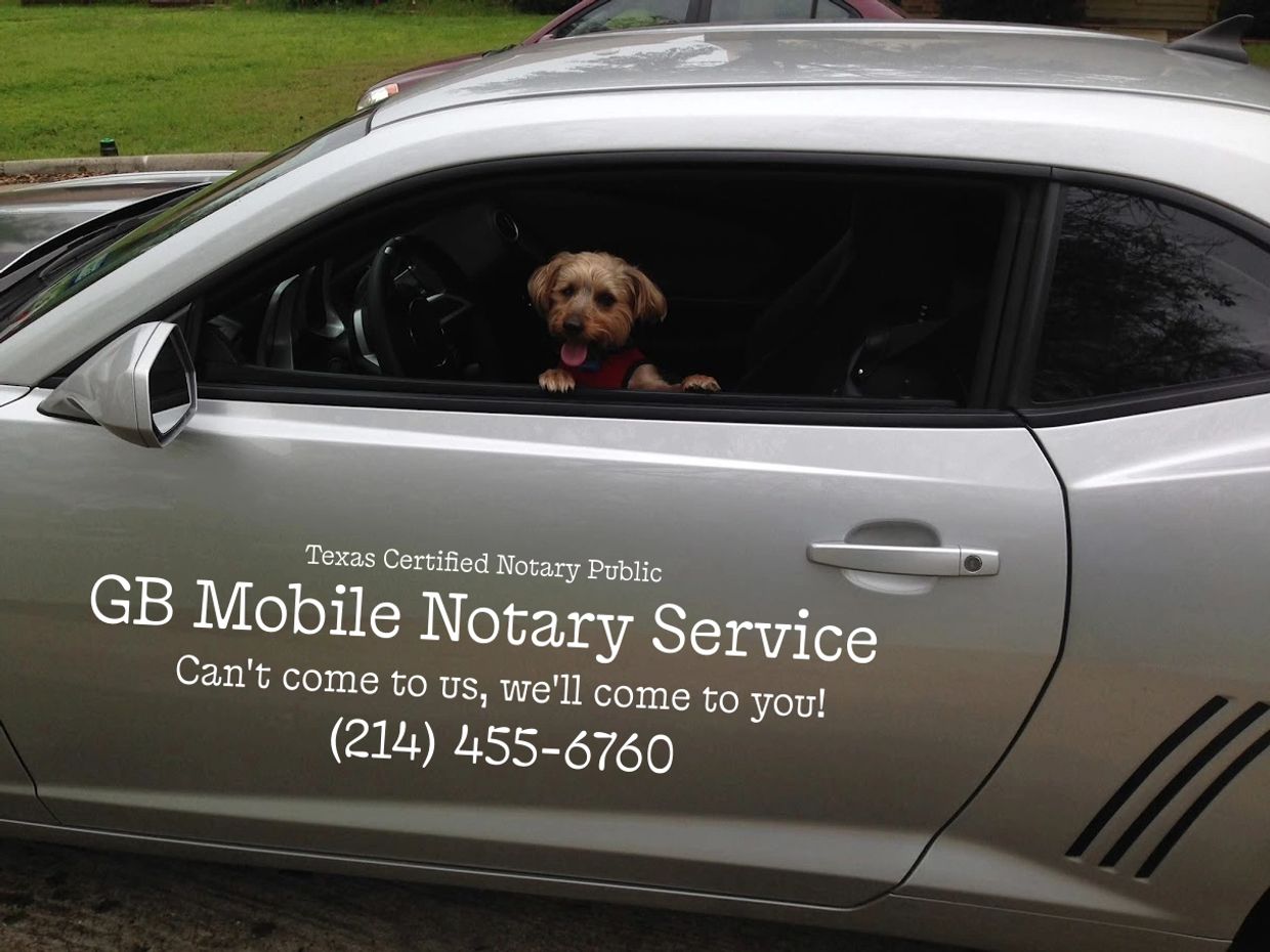 Dog sits inside a car with mobile notary service text on the door.
