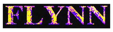 Flynnsoundvision