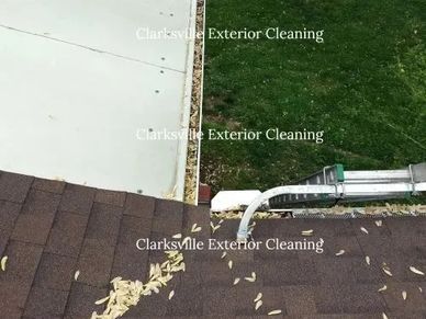 Rain gutter with leaves in it.