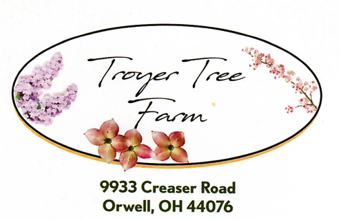 Troyer Tree Farm