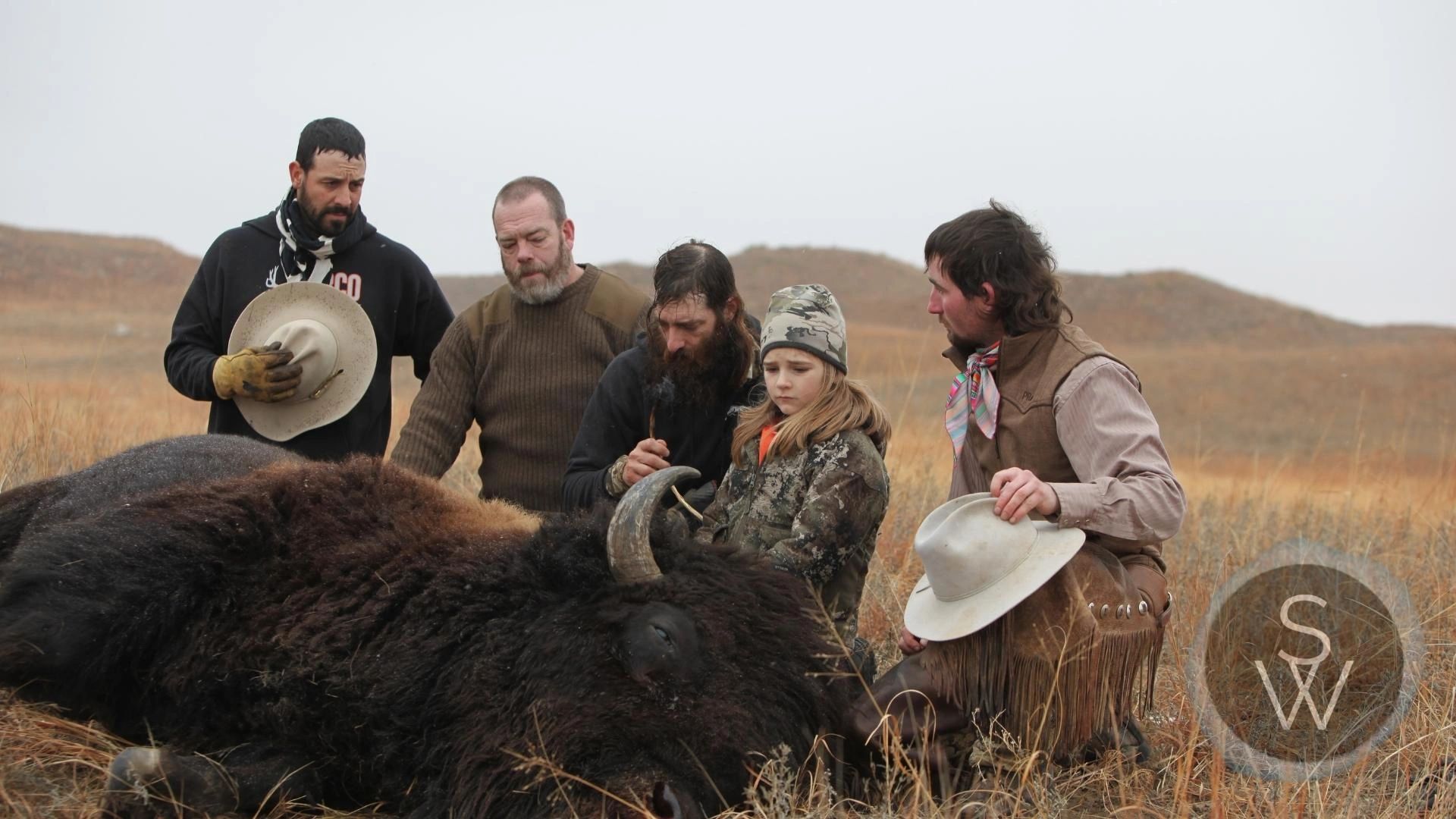 Bison harvest in Nebraska