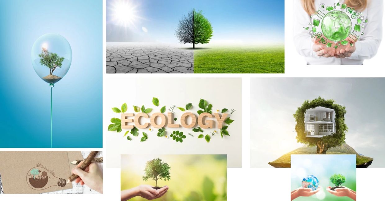 Eco-Literacy, Eco Skills, 