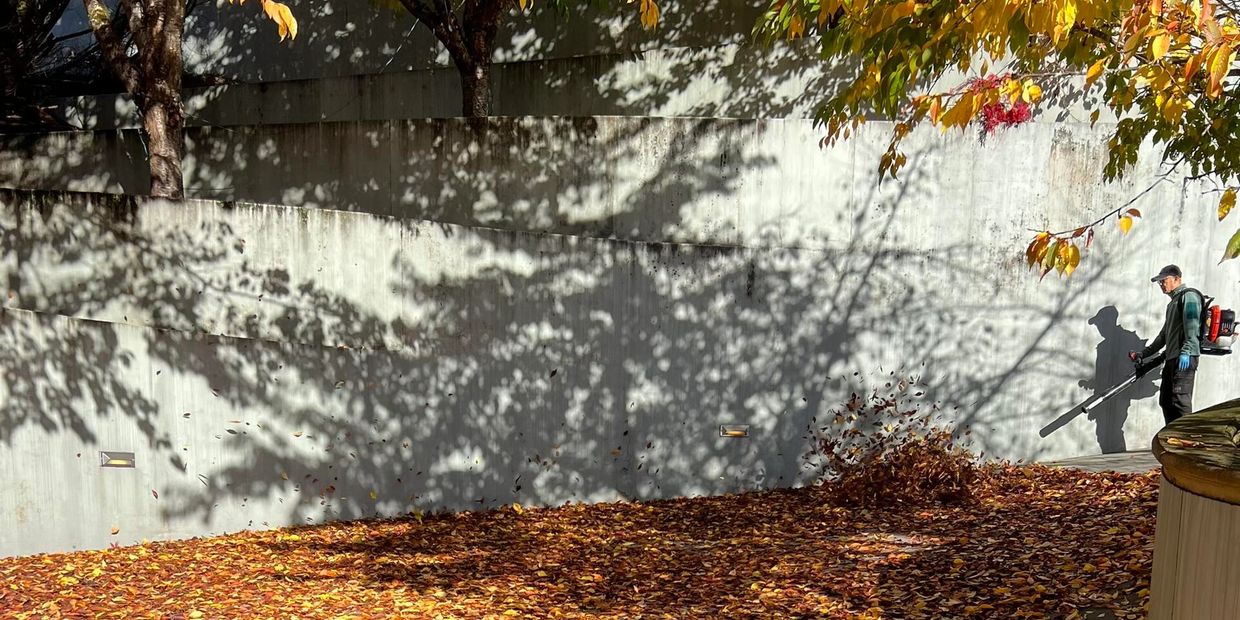 Person using leaf blower on autumn leaves.