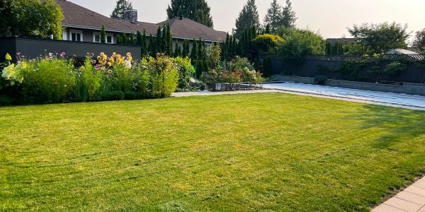 A well-maintained backyard lawn with flower beds and a swimming pool.
