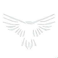 Phoenix Foundry Group