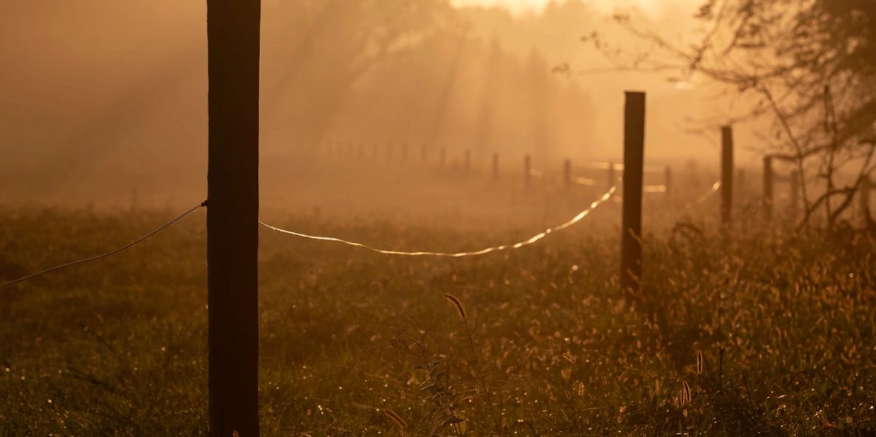 Sunlight filters through mist over a fence line in a serene field.