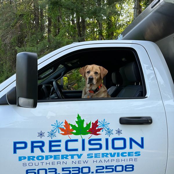 A dog sitting in the driver's seat of a white Precision company truck.