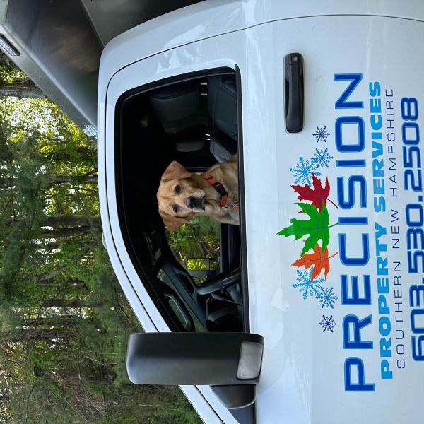 A dog sitting in the driver's seat of a white Precision company truck.