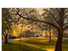 4Mica Publishing LLC