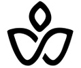 Serenity Spa JVC