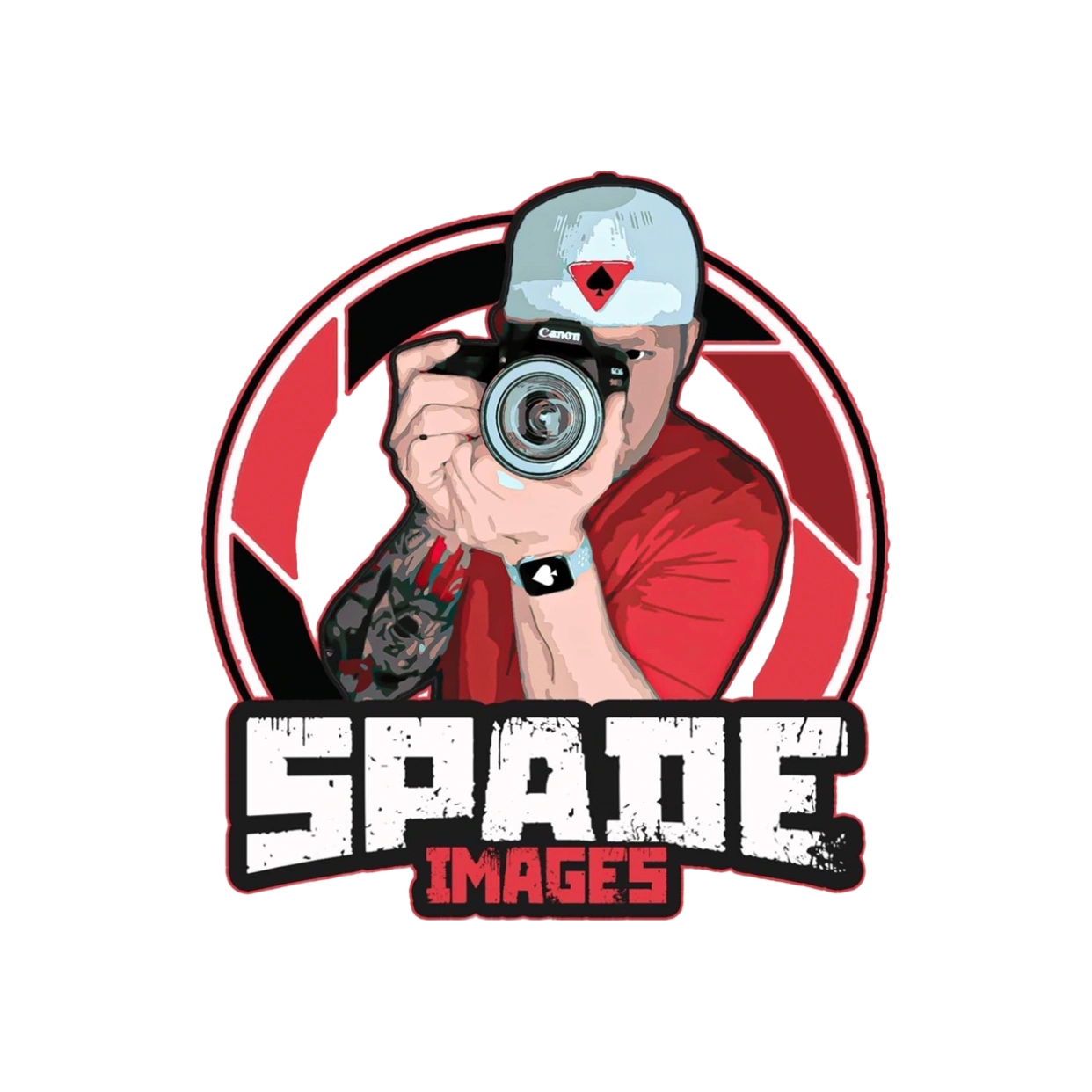 Professional photographer videographer
