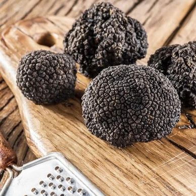 Fresh black truffles on a wooden cutting board with a grater.