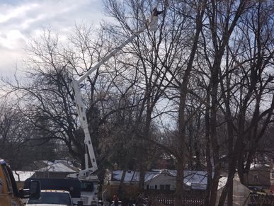 This is an Emergency Tree Removal in Liberty Missouri on a cold winter day of 2022.