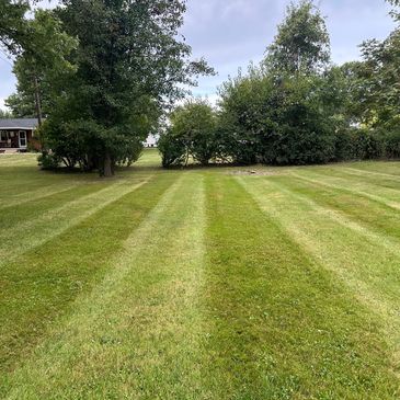A cut yard