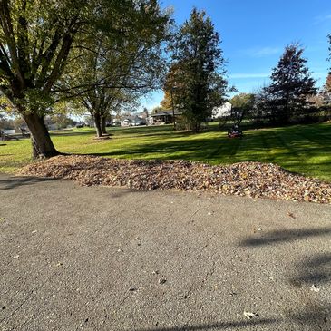 Our fall leaf cleanups