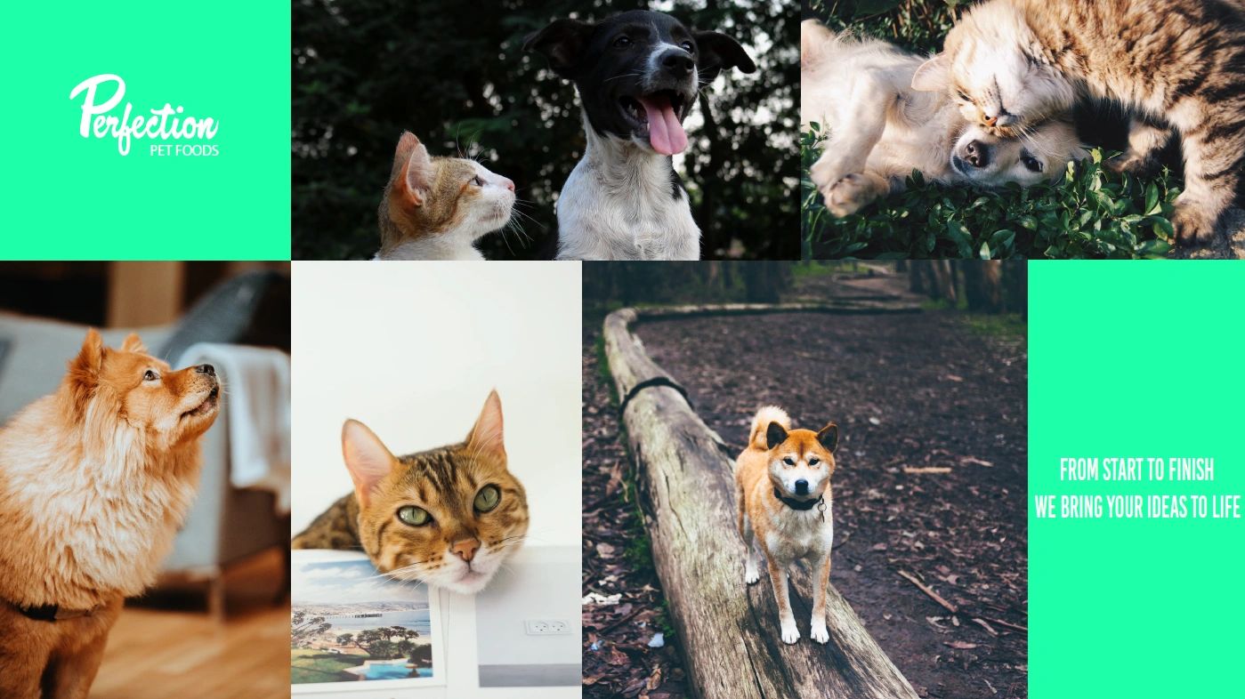 Capabilities Perfection Pet Foods