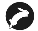 Jade Rabbit