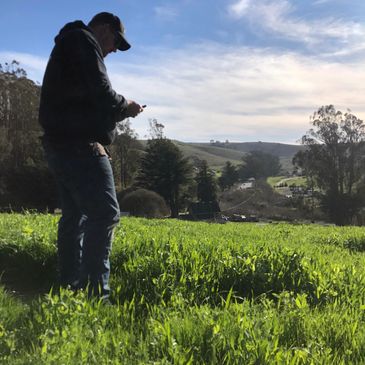 Person standing in a grassy field with hills and trees in the background.
