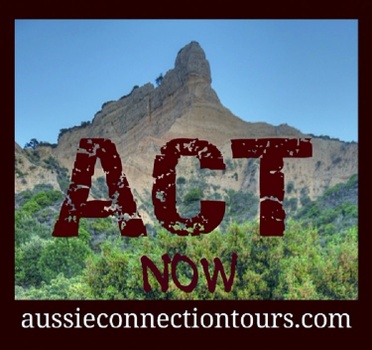 Aussie connection tours