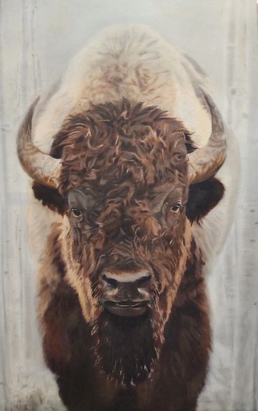 Bison emerging from aspens
