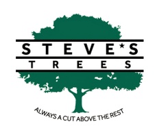 Steve's Trees LLC