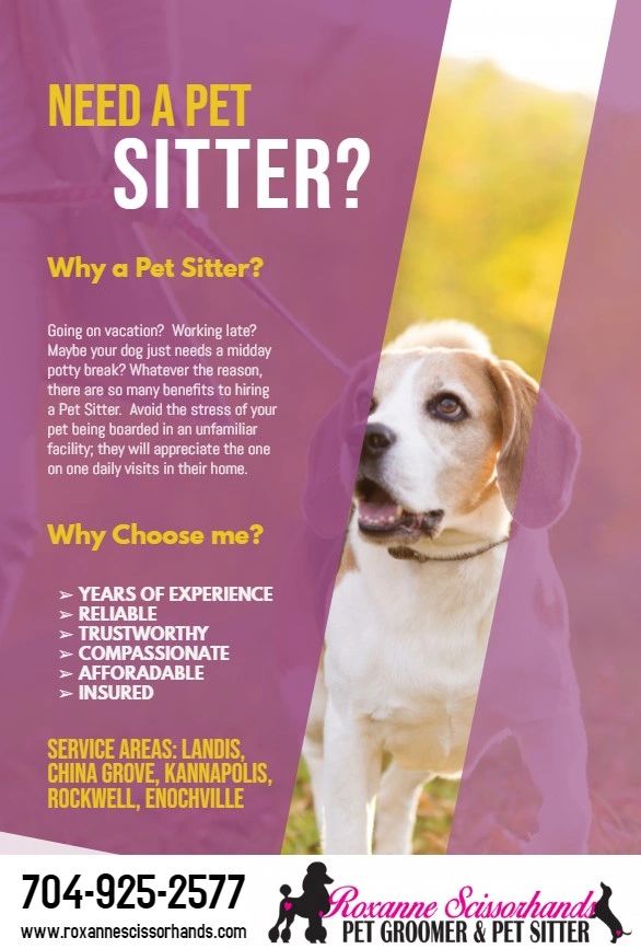 Benefits of Hiring a Pet Sitter