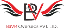 BSVR overseas