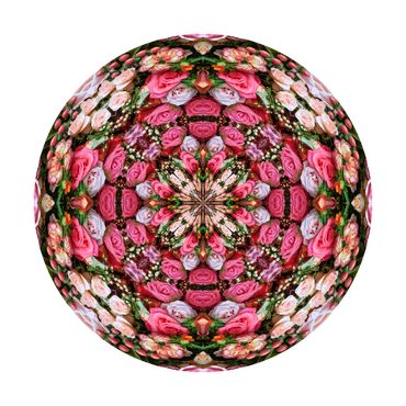A photo manipulation to create a mandala out of pink and white roses.  