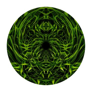 Circular photo of a kaleidoscopic image of blades of grass looping out of the center