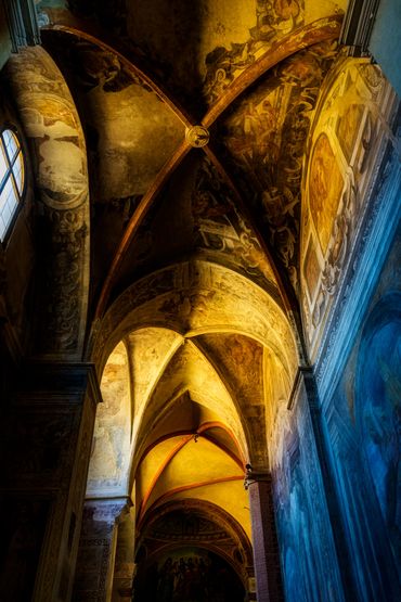 A view of the ceiling of cathedral archways that are subtly lit with blues and gold ambient lighting