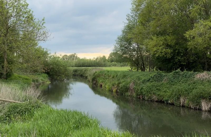 grove ferry.webp