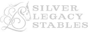 Silver Legacy Stables