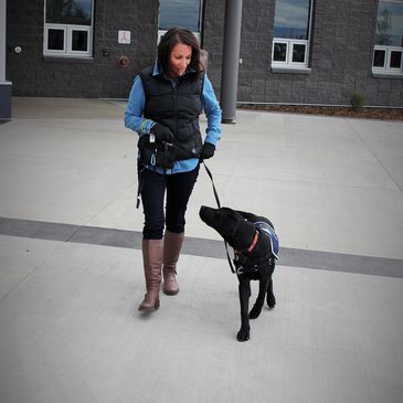 Professional Dog Trainer
Dog Training
Service Dog Training
Puppy Training
Grande Prairie
Alberta