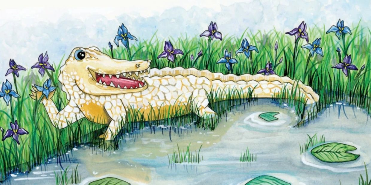 White alligator cartoon
