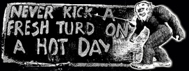 Never Kick a Fresh Turd on a Hot Day