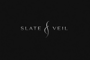 FelonyStudios — DeVision & Fern