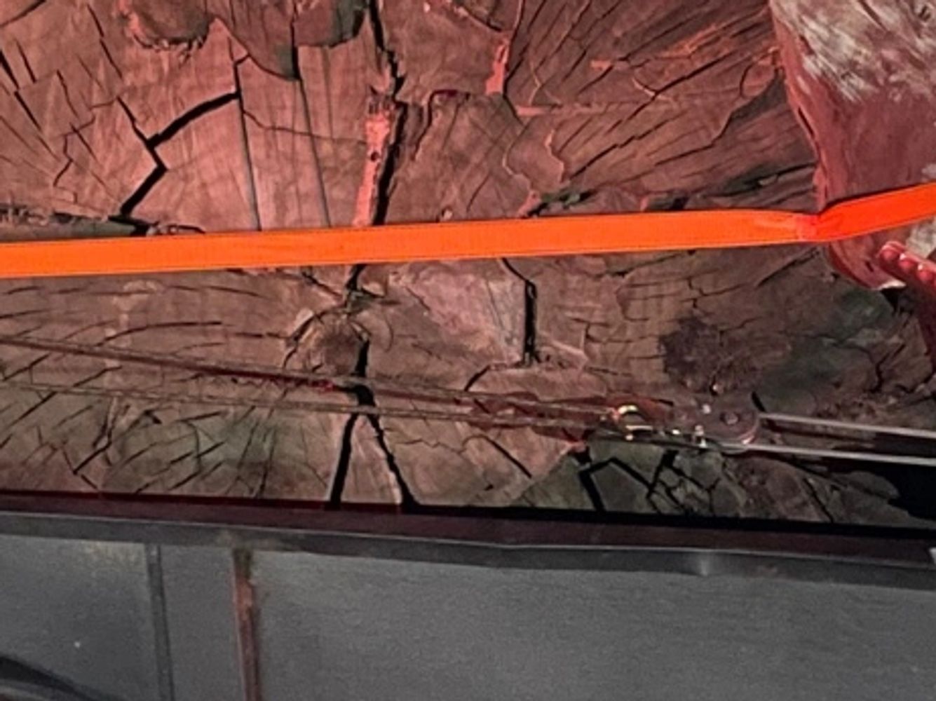 Look at my big stump
