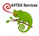 A.V.Tek Services Inc.  
Home Repair Services