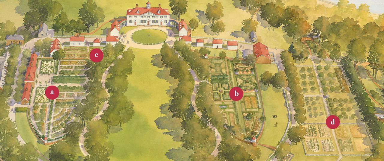 Garden map of Mount Vernon