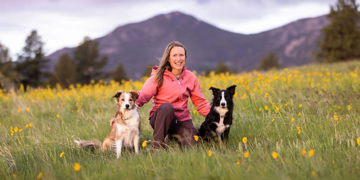 Girl in a pink  jacket is sitting in between a sable dog and a black and white dog smiling at camera