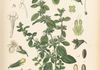 image138