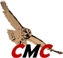 Critical Metals Consulting