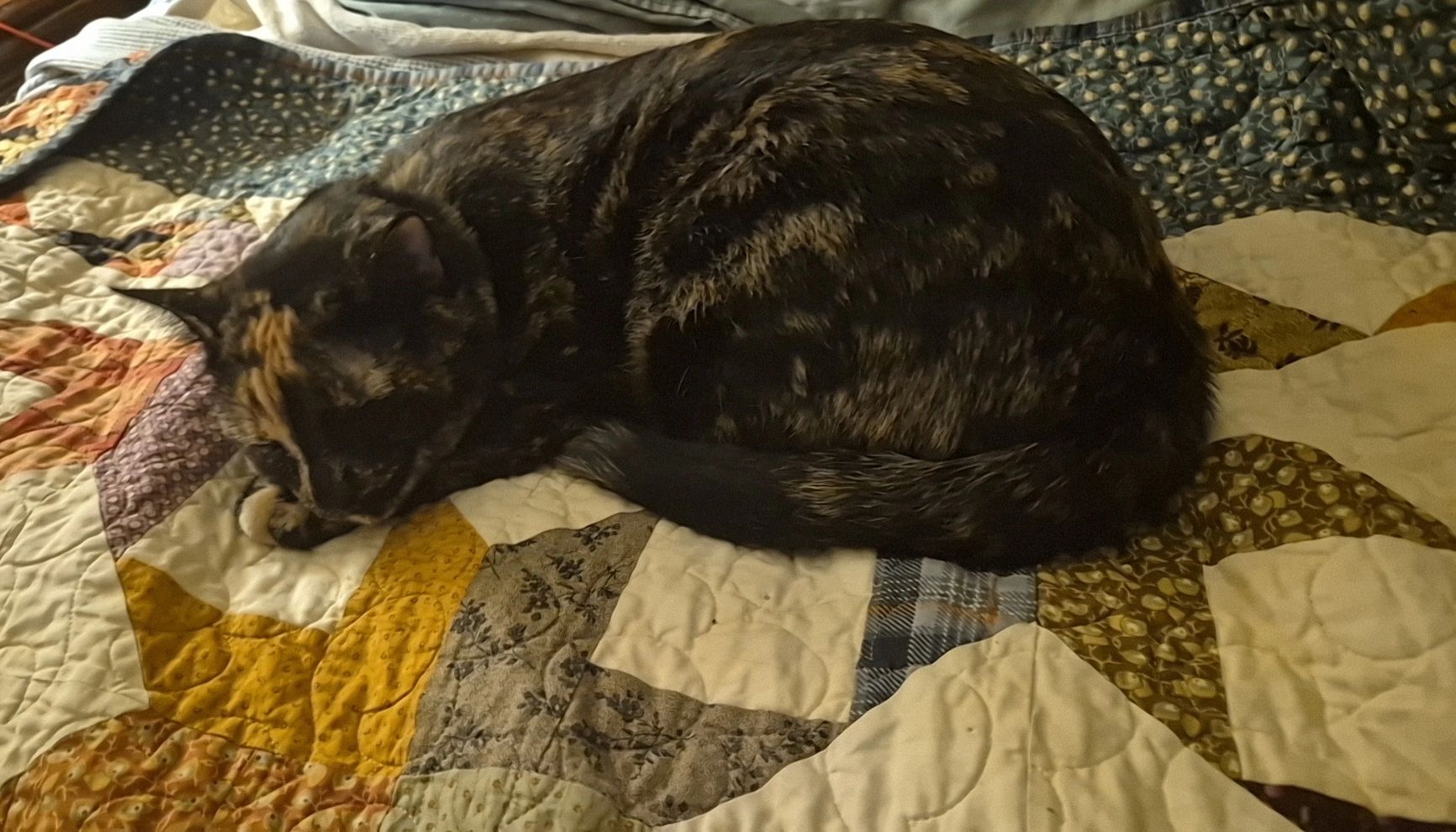 Salty taking a break from being salty.