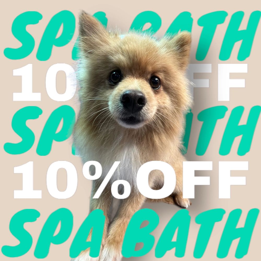 The Shih Shed Pet Grooming Richmond, Kentucky