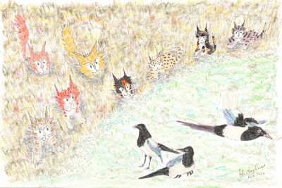 Colorful cats and birds in a soft, textured drawing.