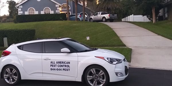 Pest Control in Palm Bay, FL
