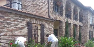 Pest Control in Palm Bay FL