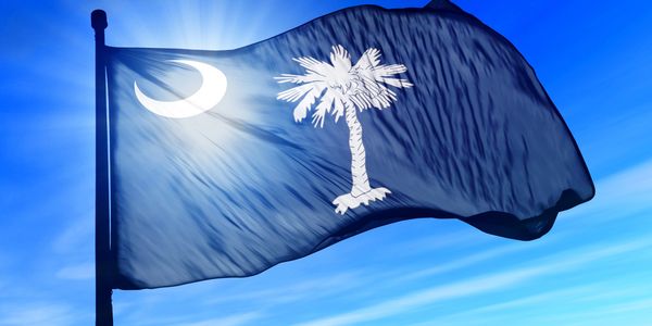 Flag of the great state of South Carolina