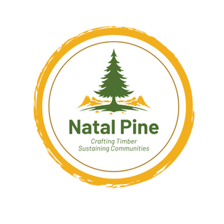 Natal Pine