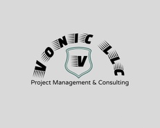               Vonic llc 
Project Management & consulting 